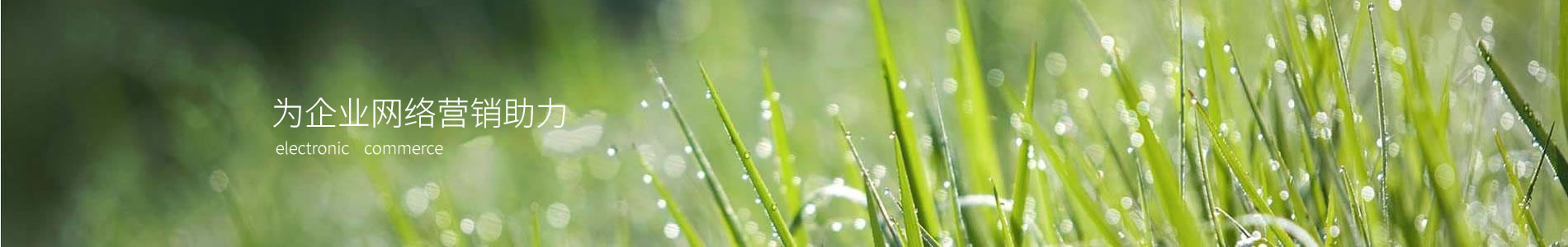 ģƼ޹˾
